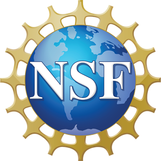 NSF SBIR